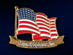 USA Flag Pin with Sojourner Banner