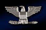 Assistant Chief of Staff (Large)
